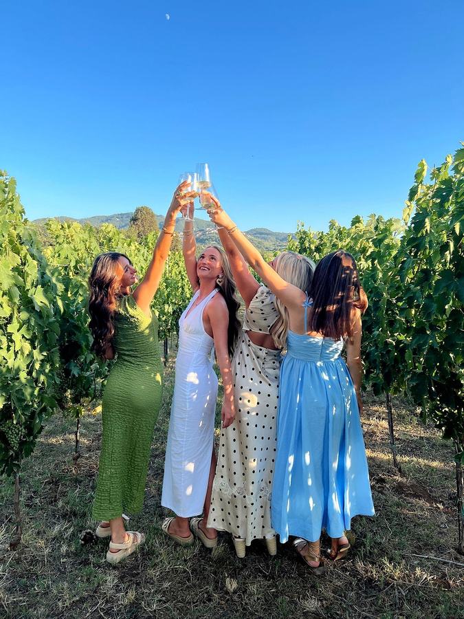 Four friends raising their glasses together in a vineyard