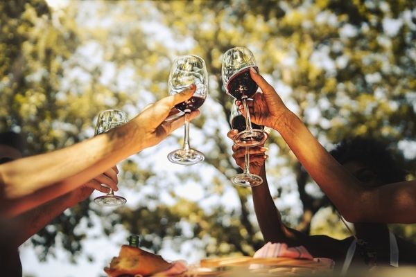 Friends raising glasses of red wine under the trees