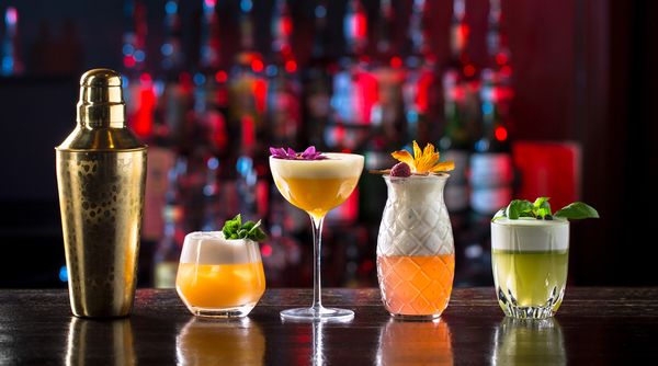 Four different mixed cocktails and shaker displayed above the bar counter