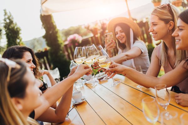 Lovely friends raise their glasses and make a toast during the winery tour