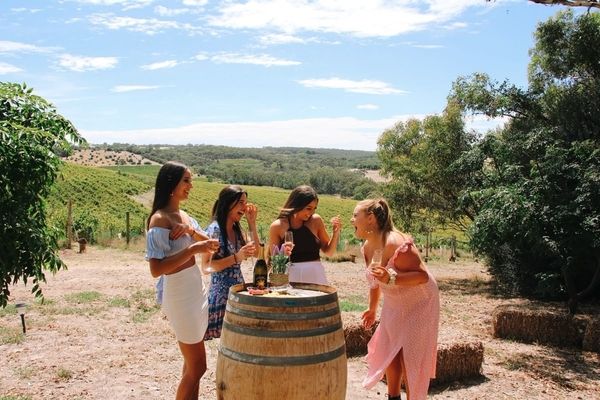 Friends sharing wine around a barrel overlooking vineyards