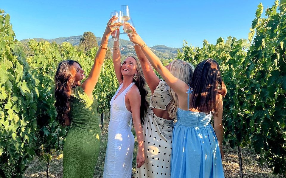 Four friends raising their glasses together in a vineyard